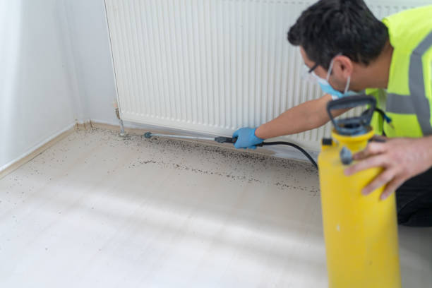 Best Pest Prevention Services  in Mililani Town, HI